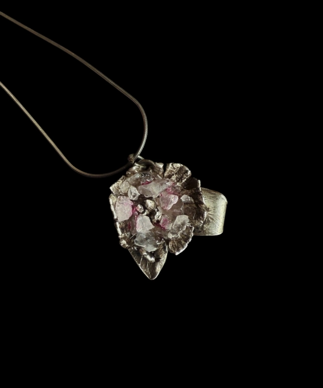 Pelargonia 3.jpg