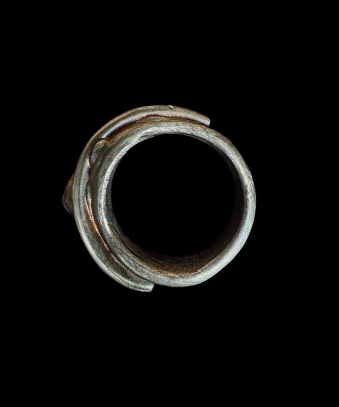 Mechaniczna Pożoga 443 6.jpg