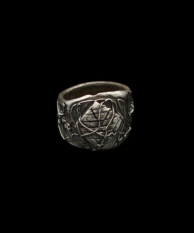 Domus Aranearum 0.jpg