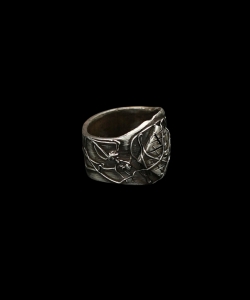 Domus Aranearum 1.jpg