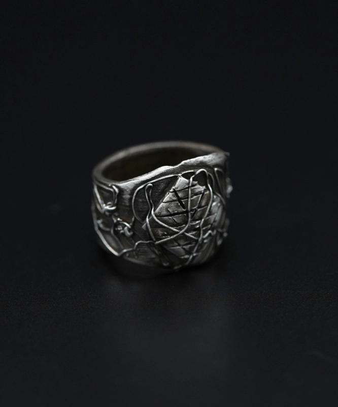 Domus Aranearum 5.jpg