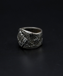 Domus Aranearum 6.jpg