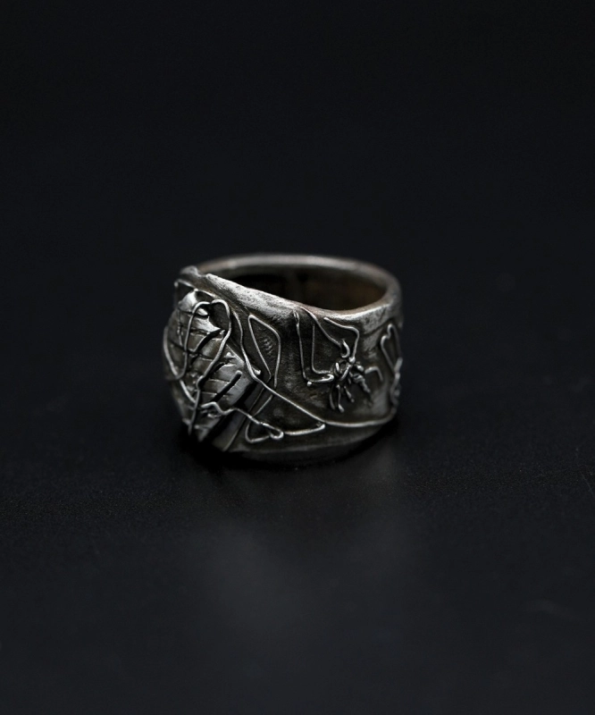 Domus Aranearum 6.jpg