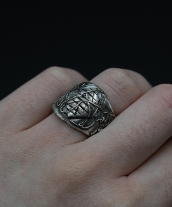 Domus Aranearum 7.jpg