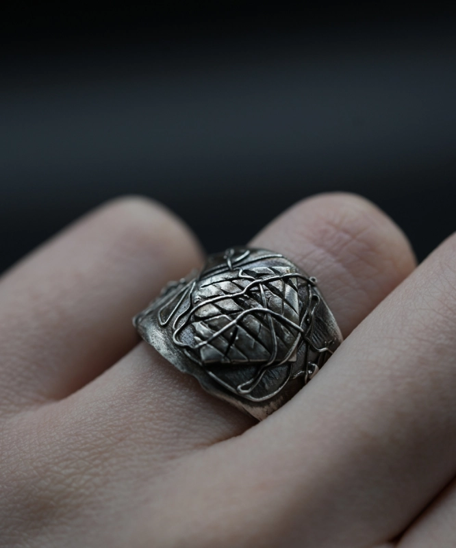 Domus Aranearum 8.jpg