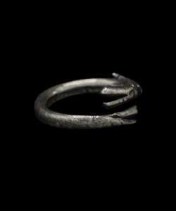 Smoczy Pierścień ID 640 2.jpg