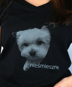 KOSZULKA 'NIESMIESZNE' SEREK 2.jpg