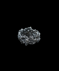 Cierniowa ID 677 1.jpg