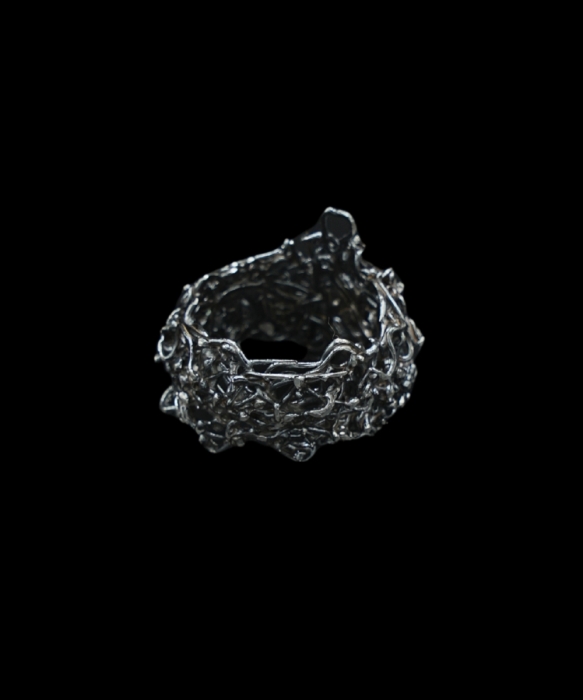 Cierniowa ID 678 1.jpg