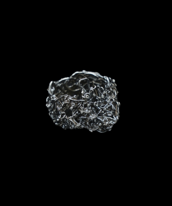 Cierniowa ID 678 0.jpg