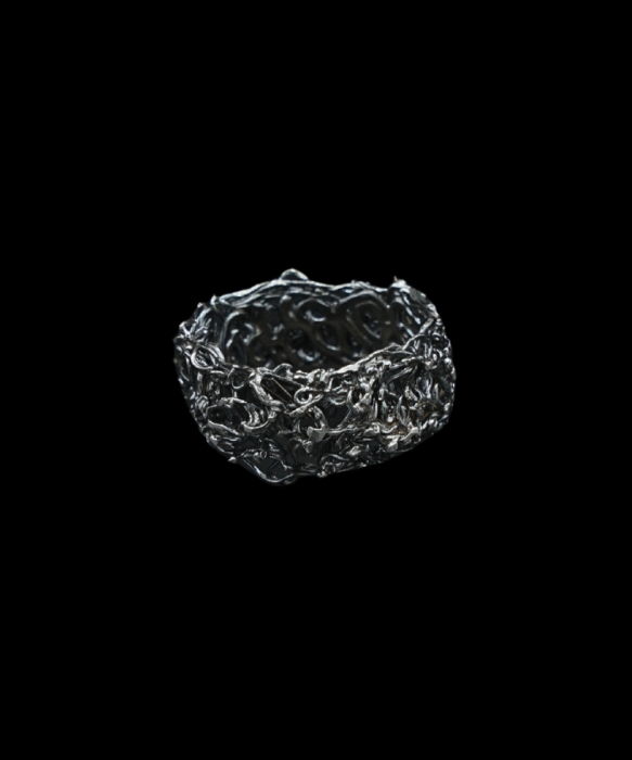 Cierniowa ID 679 0.jpg