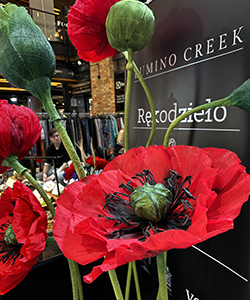 zdjęcie stoiska Elektrownia Powiśle