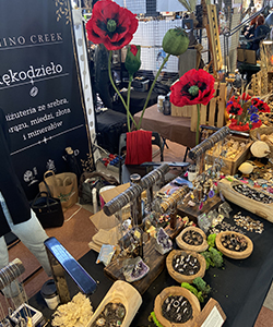 zdjęcie stoiska Hala Gwardii